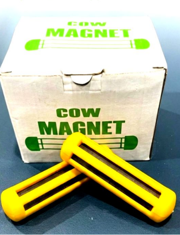 Cow Magnet